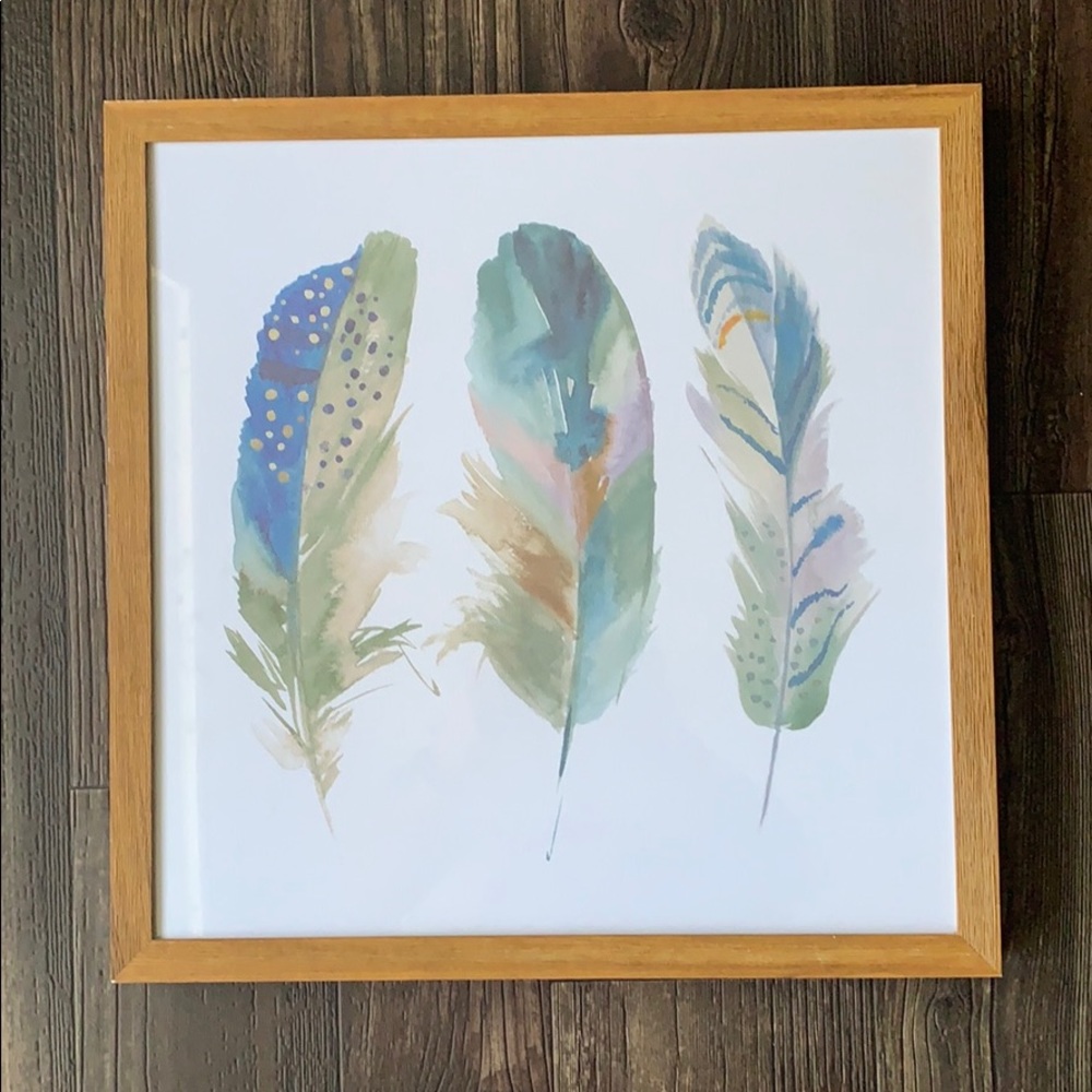 Threshold/Target Boho Feather picture w/ frame